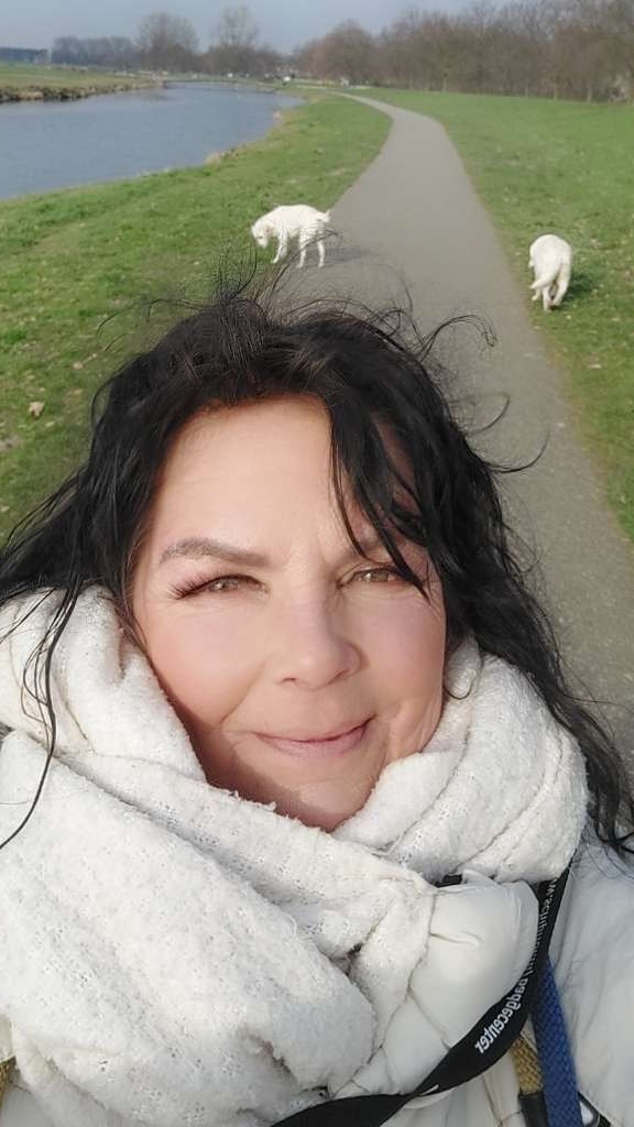 It's a Labradors life for me. 