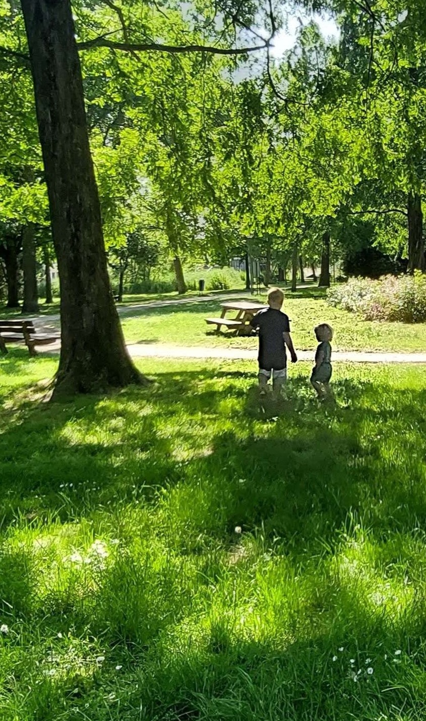 Spelen in het park 