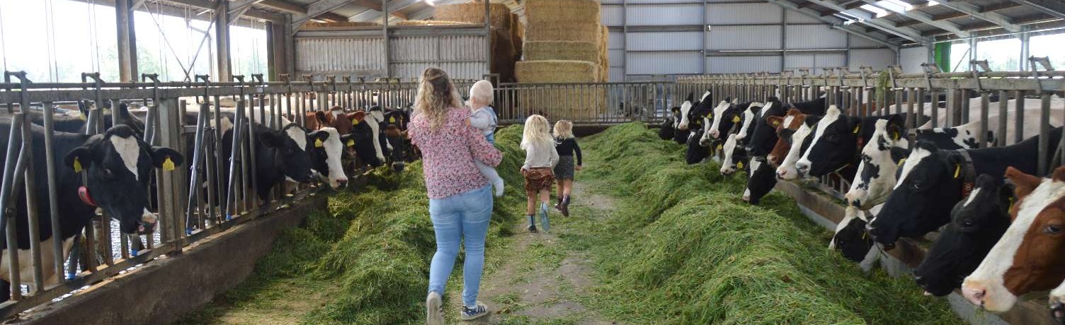 Uitstapjes naar de boerderij 