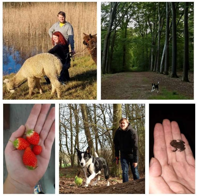 Dieren (spotten), natuur en leren