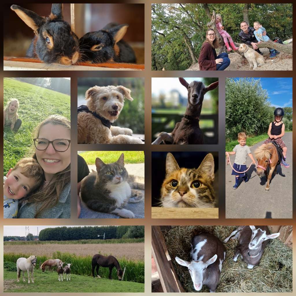 Mijn gezin, huisdieren en hobby