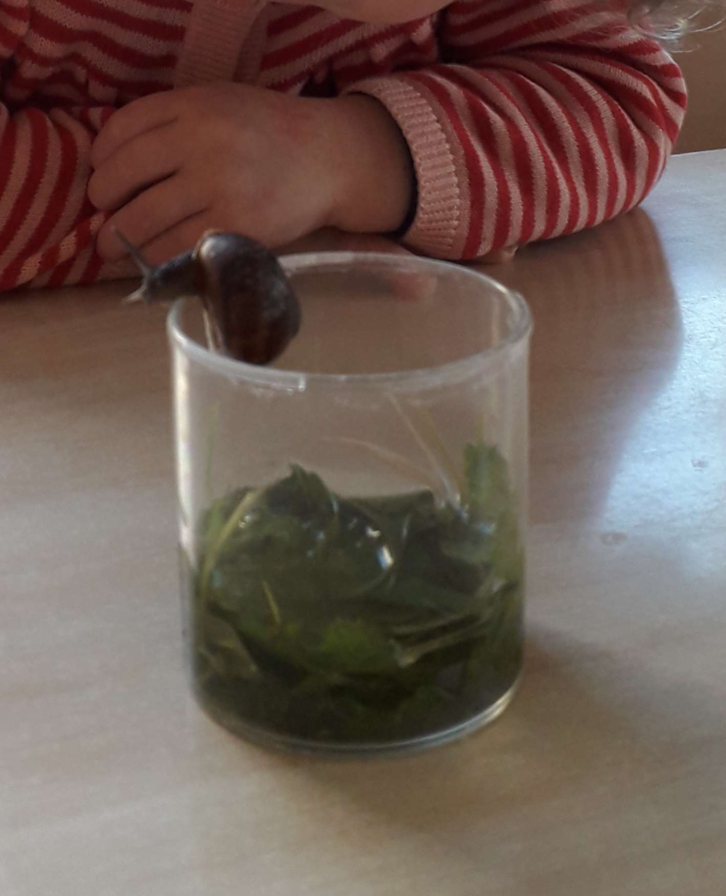 Tijd voor het bewonderen :-)