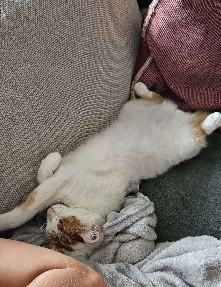 Nog zo'n lieverd deze heet Baco