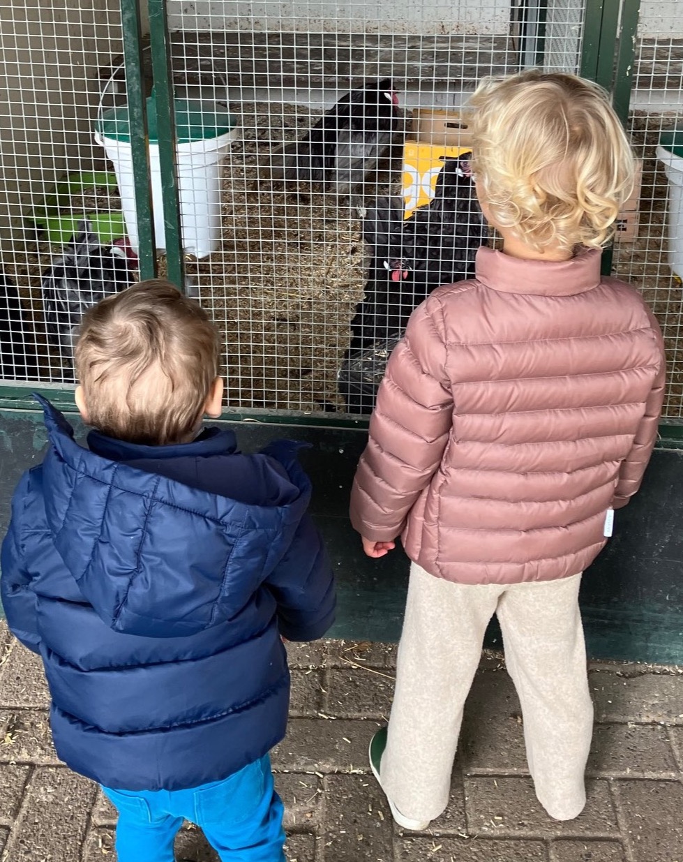 Lekker naar de kinderboerderij 