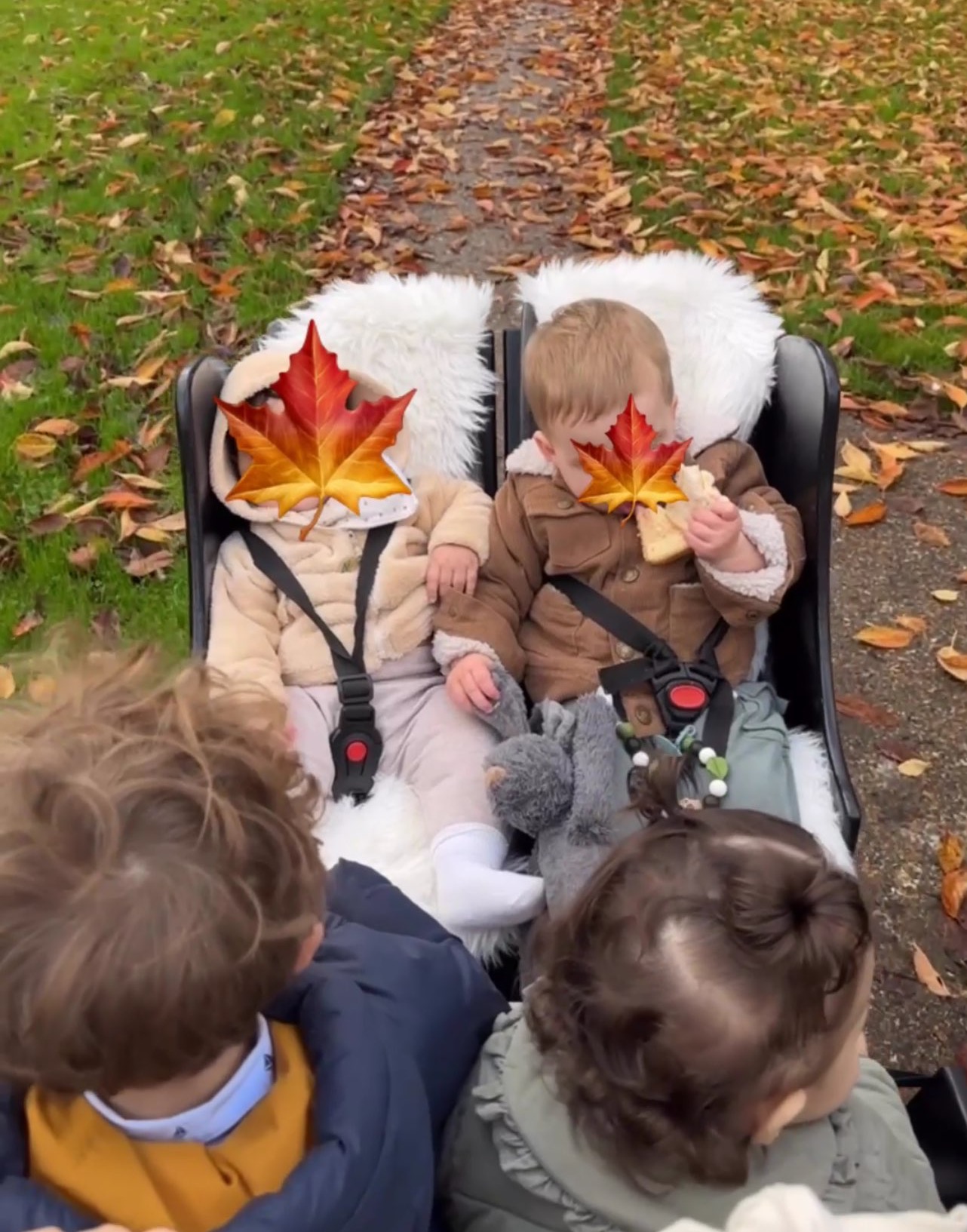Wandelen in de boldekar.