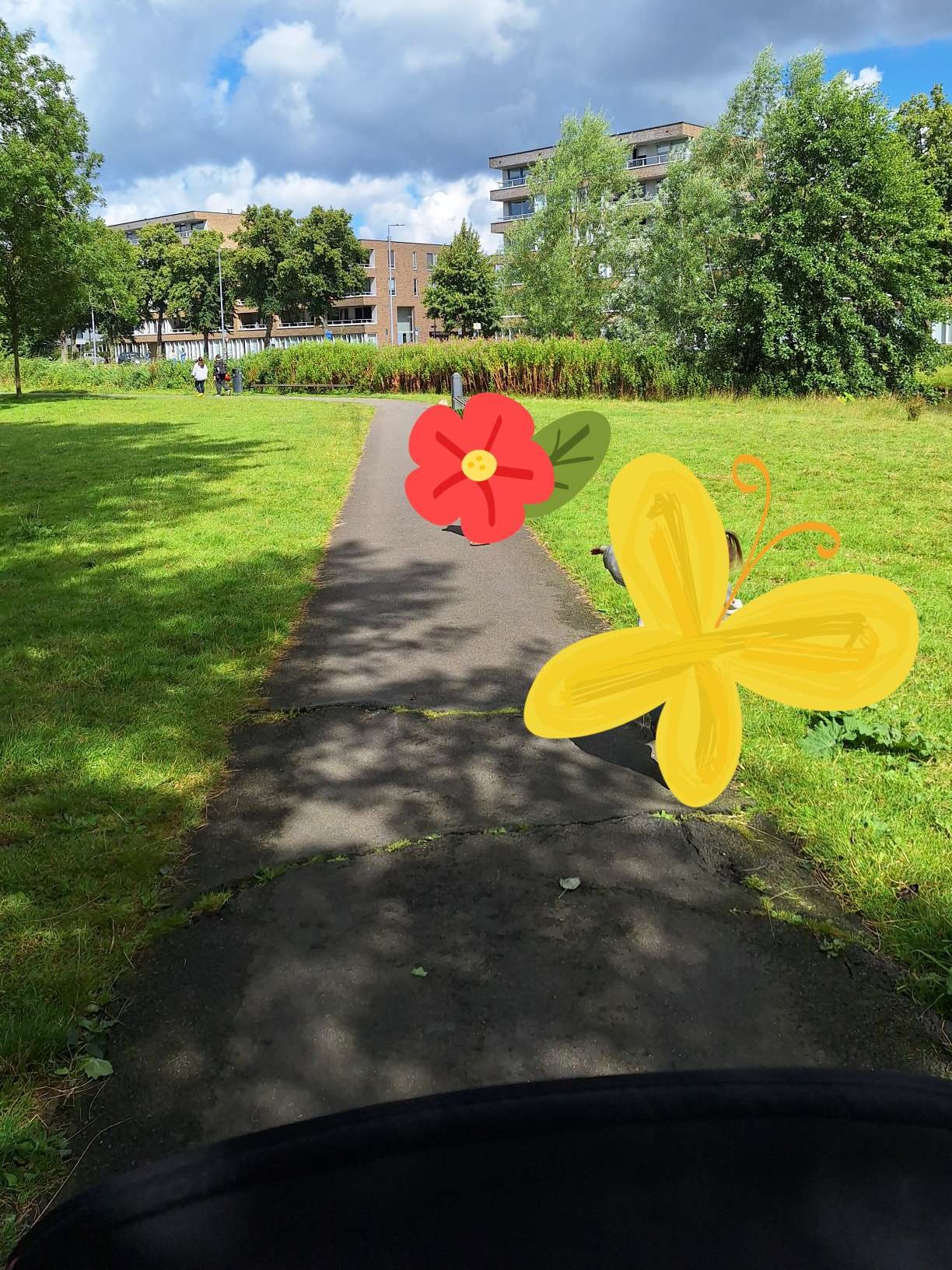 Park