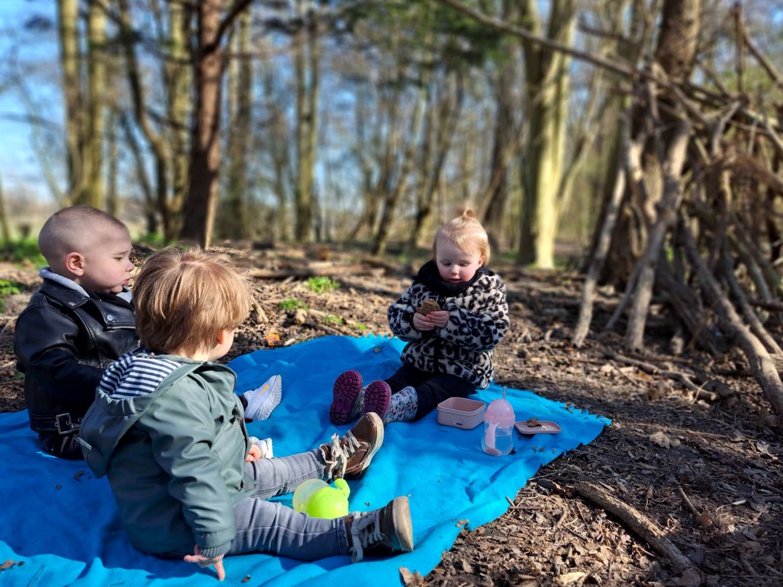 Picknicken in het bos.