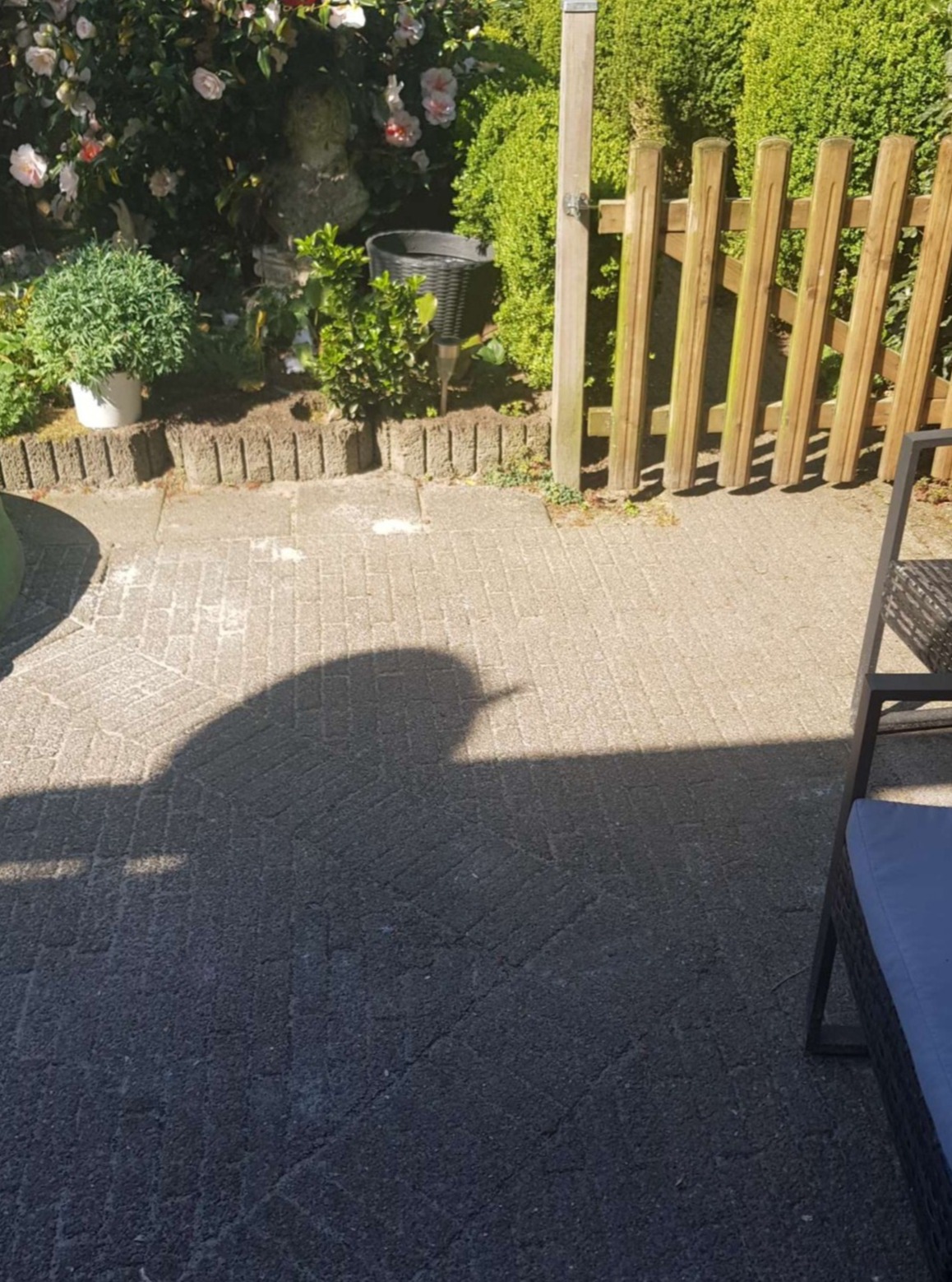 Spelen kinderen achtertuin