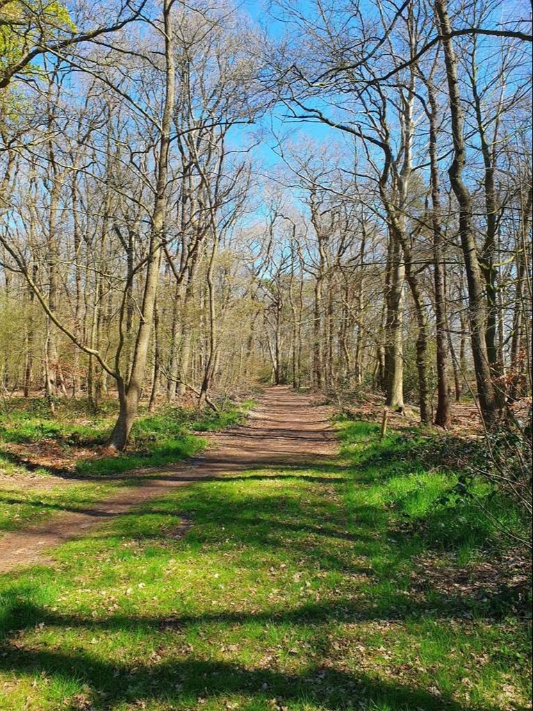 buiten, in de natuur ontdekken en spelen