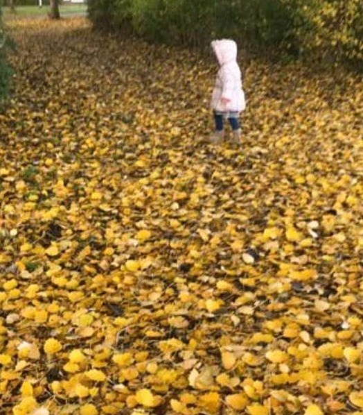 Buiten zijn in elk seizoen.