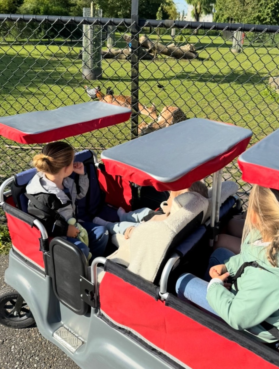 Gezellig bij de hertjes 