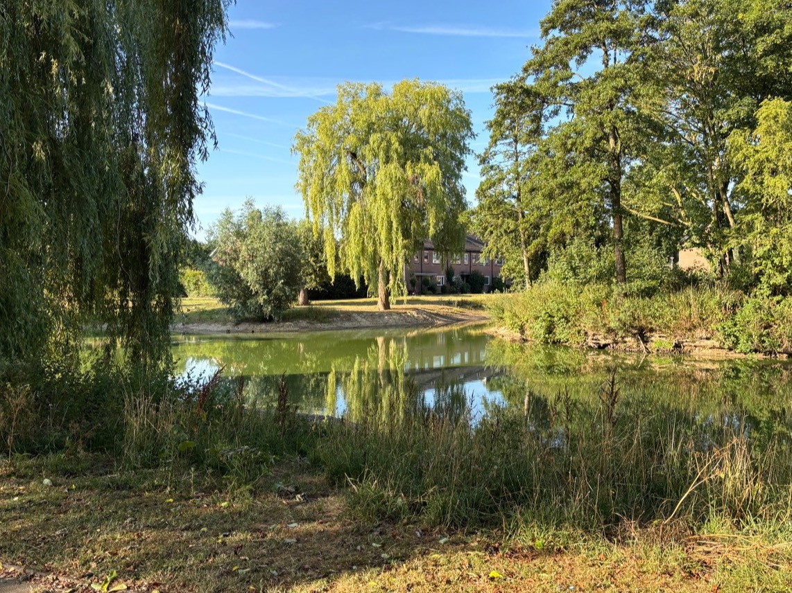 Wij wonen in een mooie omgeving. 