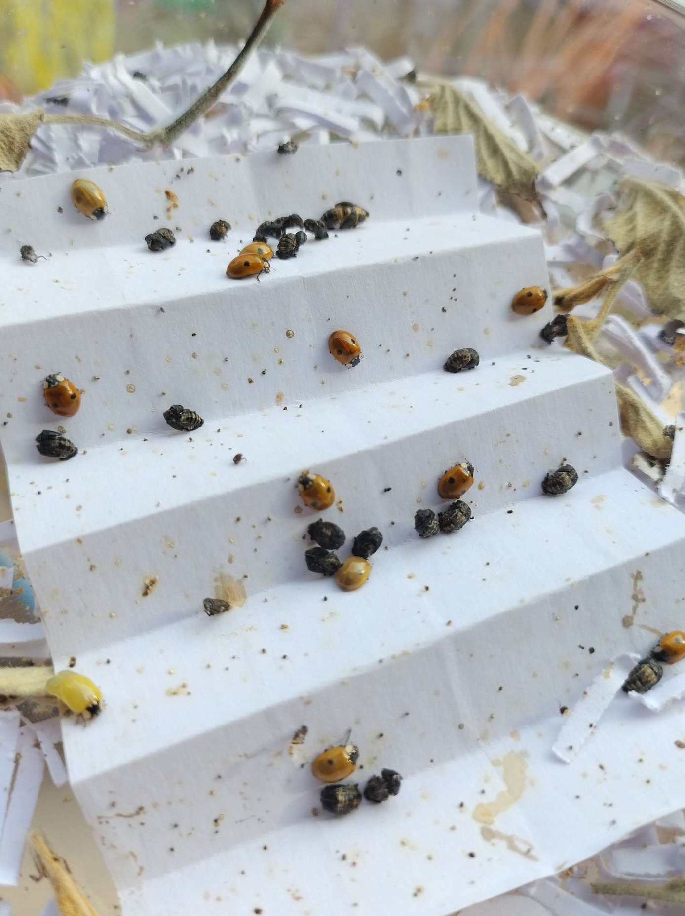 Wij doen graag natuurprojecten