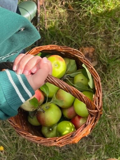 Samen appels plukken 🍎