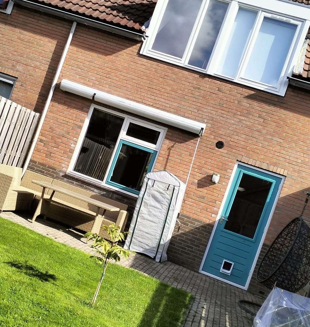 Achtertuin