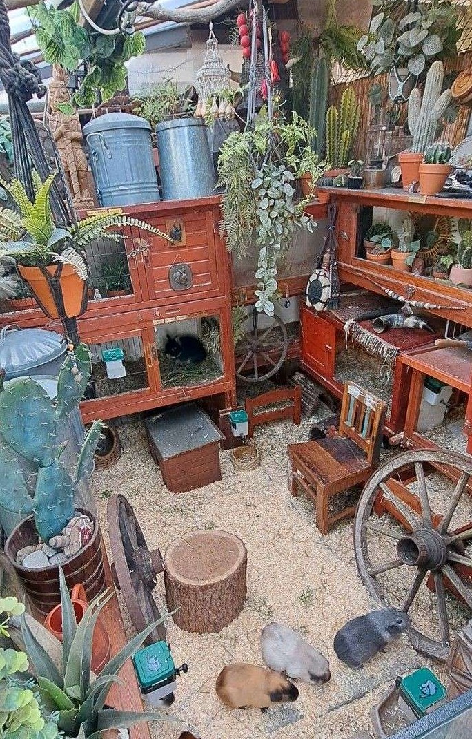 De dieren in de tuin.