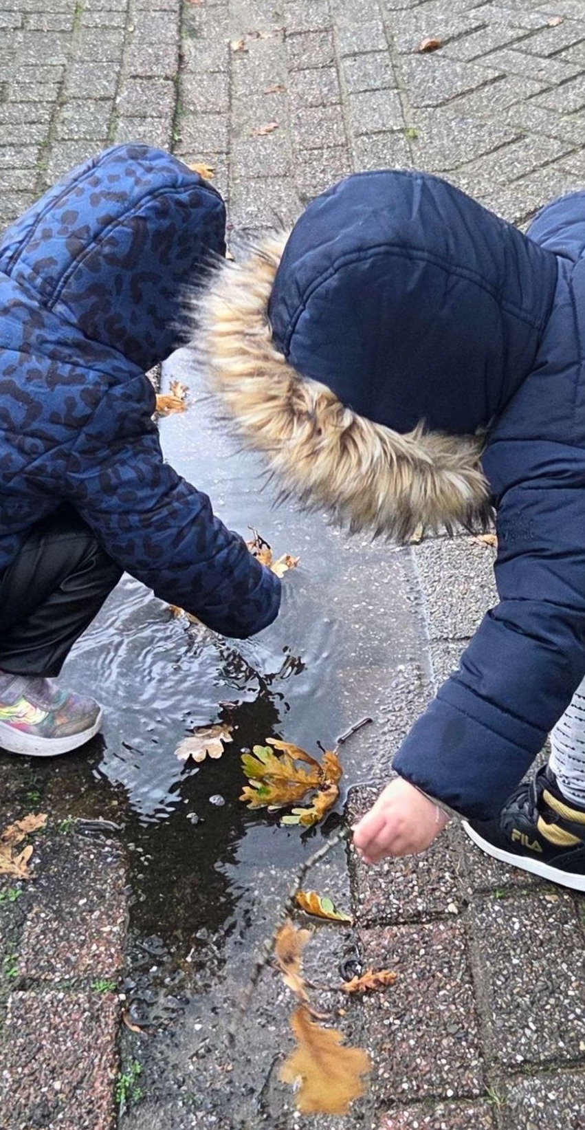 Blijft het drijven of gaat het zinken?